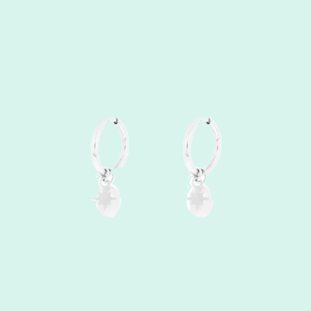 SE-3062 - Silver earrings with star & pearl charms